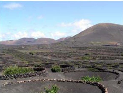 DNOTA, suministrador del Gobierno de Canarias