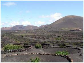 Isalas Canarias