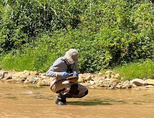 Awarded to DNOTA the service for the Sampling and Determination of Macroinvertebrates and Diatoms in the Barcelona Demarcation (Tordera-Besos-Maresme) of the River Basin District of Catalonia.