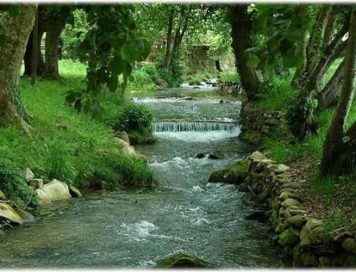 La Xunta adjudica a dnota el servicio de control de calidad del agua en captaciones, emisiones al mar y embalses