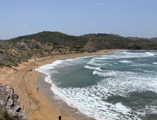 dnota adjudicataria del seguimiento Topobatimétrico de las Playas de Barcelona