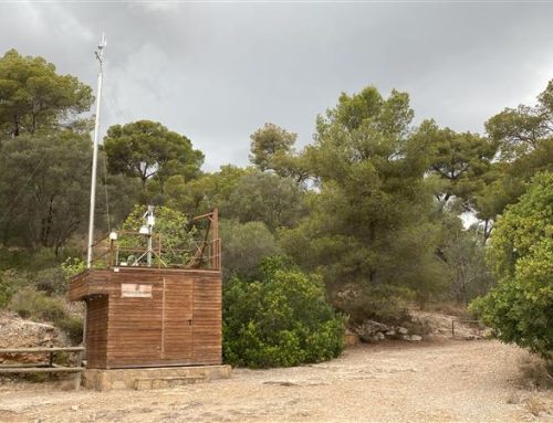 dnota was awarded the official contract for the Balearic Air Quality Monitoring network, which will consist of a hybrid network of bettair IoT sensors.